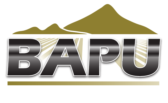 BAPU