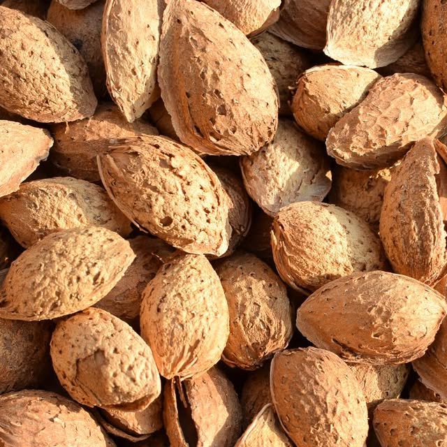 California almonds prepared for wholesale markets
