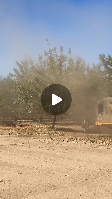 Almond harvest shaking in a Bapu orchard